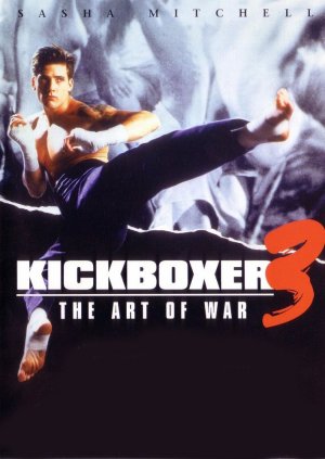 kickboxer 3