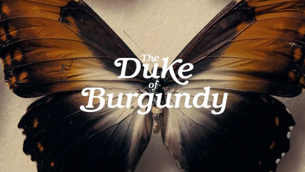 The Duke of Burgundy (2014)