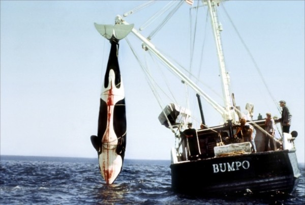 orca 1977 