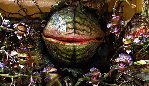 Audrey II and his spawn set the record straight in LITTLE SHOP OF HORRORS