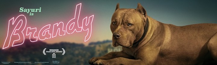 Bizarro Oscars 2019 ONCE UPON A TIME IN HOLLYWOOD Best Dog Sayuri as Brandy