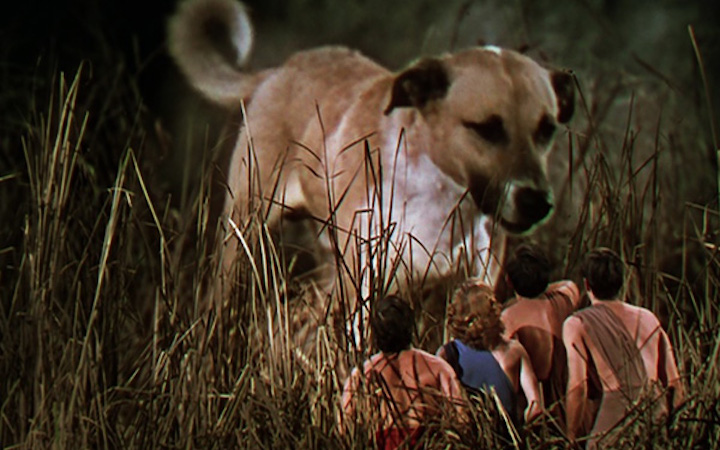 DR. CYCLOPS (1940) Beagles have landed