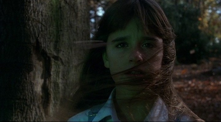 THE WATCHER IN THE WOODS (1980) Kyle Richards was in films by Tobe Hooper, John Carpenter, and Hough before her teens. Respect.
